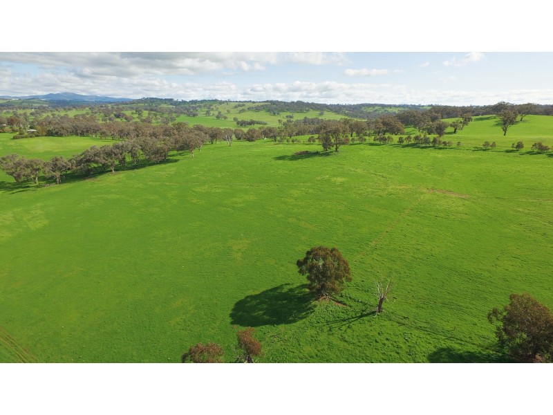 1609 Mitchell Highway, Orange NSW 2800