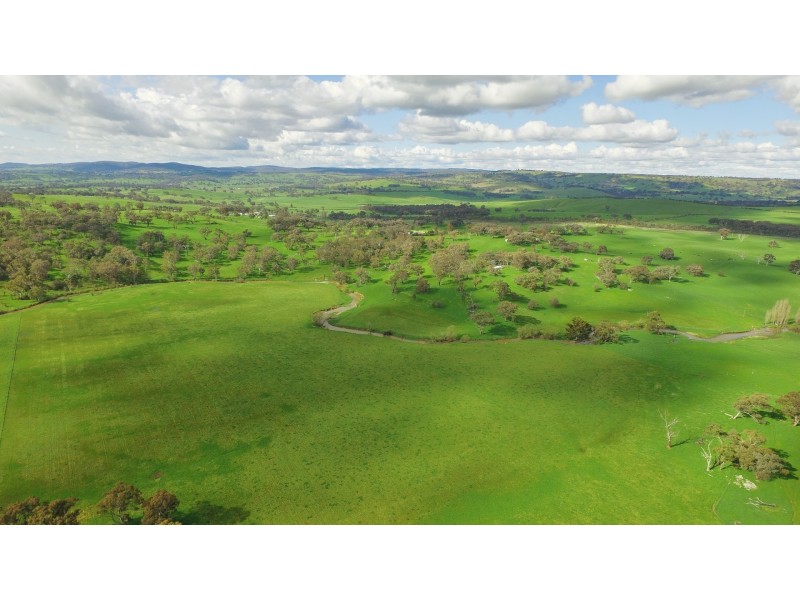 1609 Mitchell Highway, Orange NSW 2800