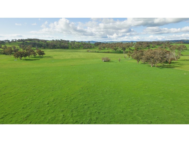 1609 Mitchell Highway, Orange NSW 2800