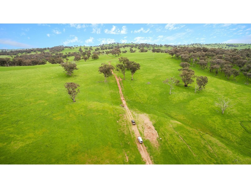 1609 Mitchell Highway, Orange NSW 2800