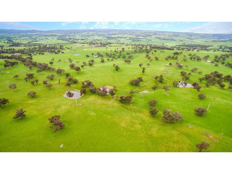 1609 Mitchell Highway, Orange NSW 2800