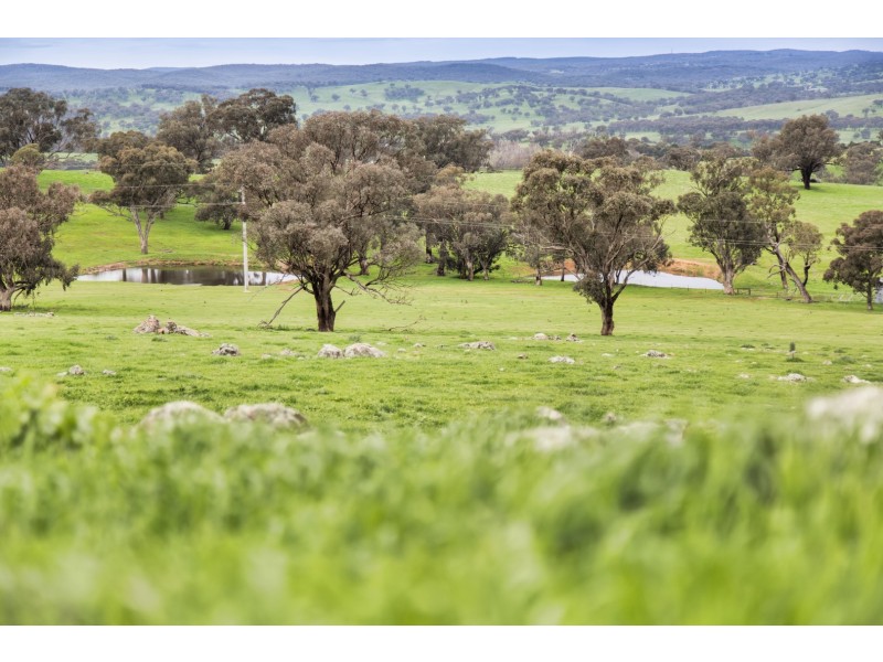 1609 Mitchell Highway, Orange NSW 2800