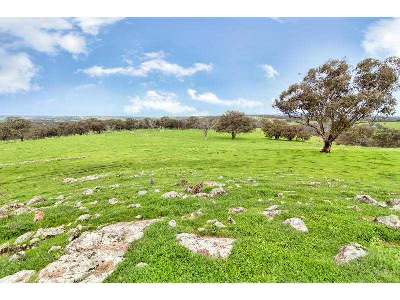 1609 Mitchell Highway, Orange NSW 2800