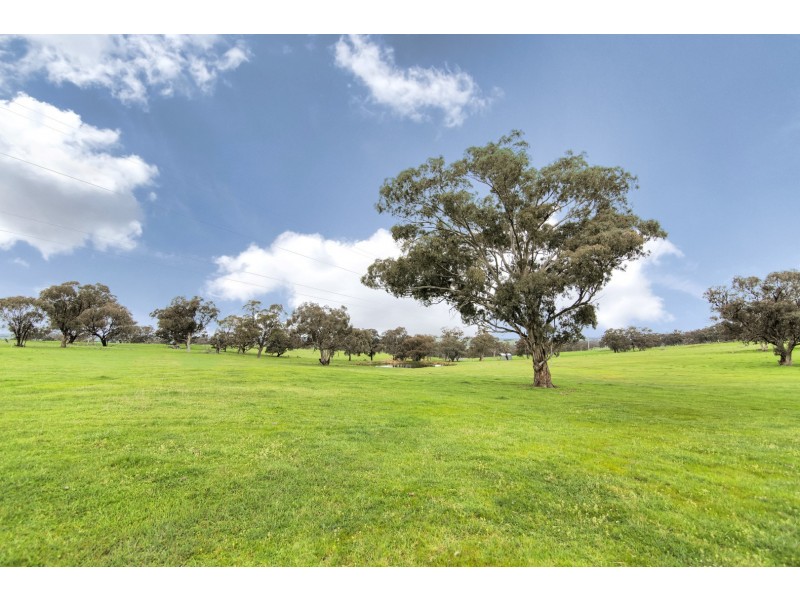 1609 Mitchell Highway, Orange NSW 2800