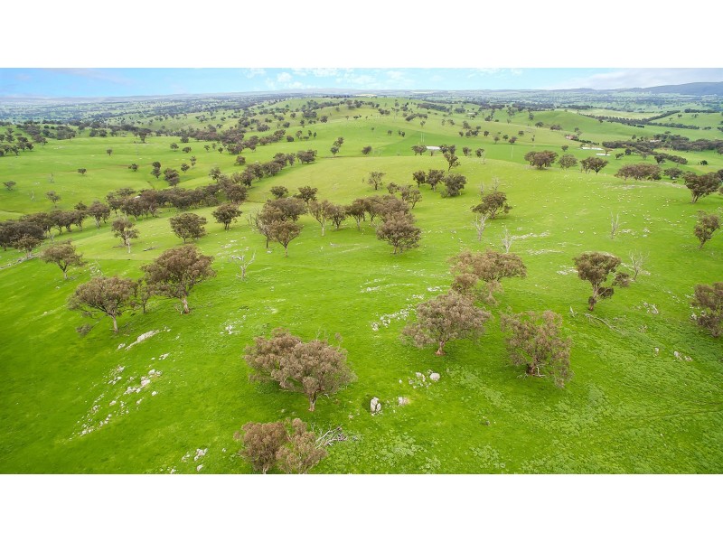 1609 Mitchell Highway, Orange NSW 2800