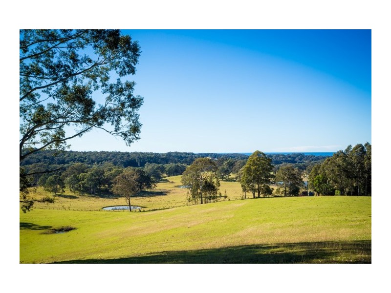 128 Wonga Road, Narooma NSW 2546