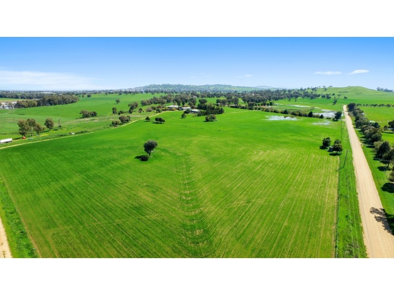 46 Carro Park Road, Cowra NSW 2794