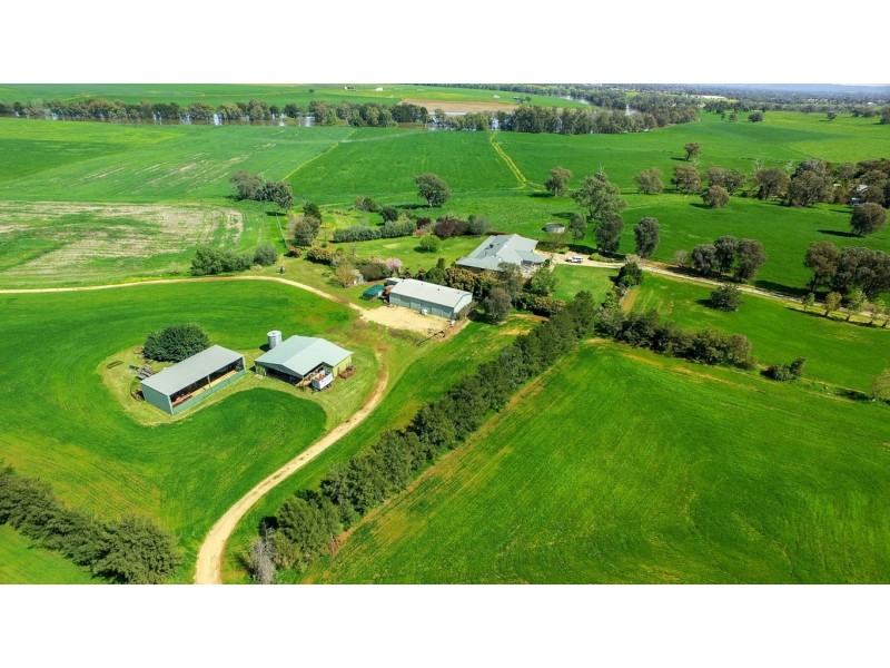 46 Carro Park Road, Cowra NSW 2794