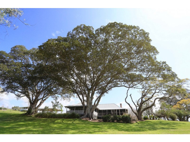 Towal Creek Station Toose Road, Comara NSW 2440