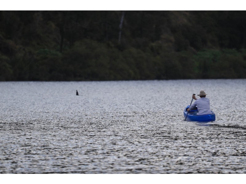 Towal Creek Station Toose Road, Comara NSW 2440