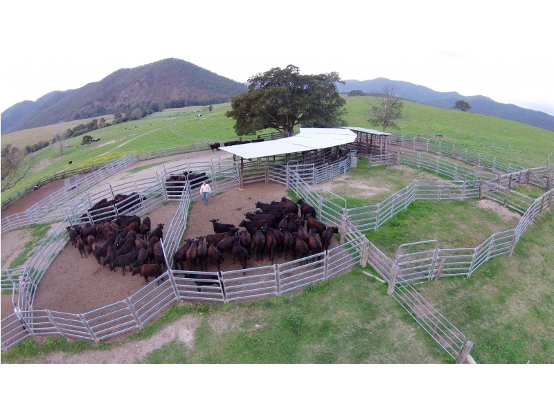 Towal Creek Station Toose Road, Comara NSW 2440