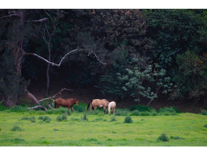 Towal Creek Station Toose Road, Comara NSW 2440
