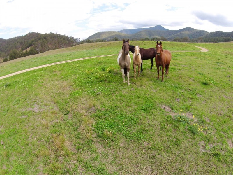 Towal Creek Station Toose Road, Comara NSW 2440