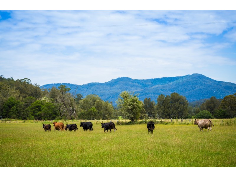 566 Wagonga Scenic Drive, Narooma NSW 2546