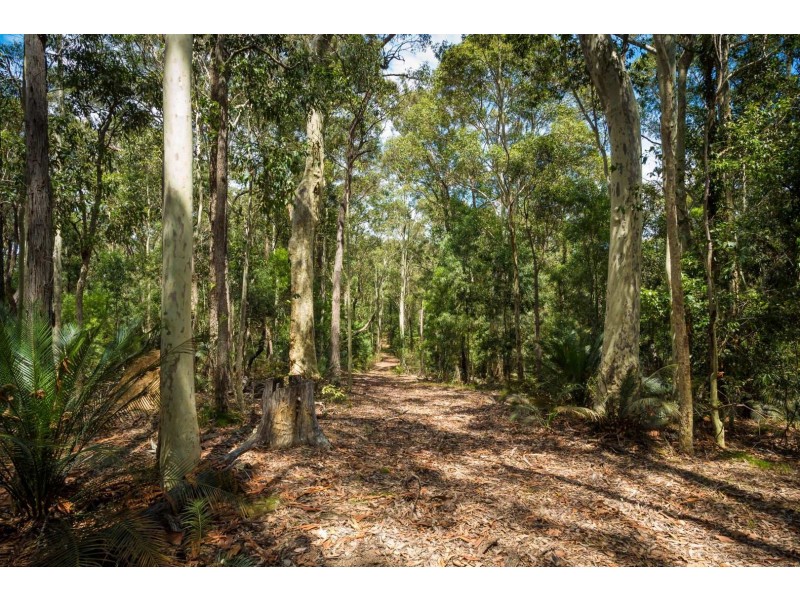 566 Wagonga Scenic Drive, Narooma NSW 2546