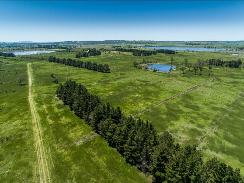 310 Racecourse Road, Uralla NSW 2358