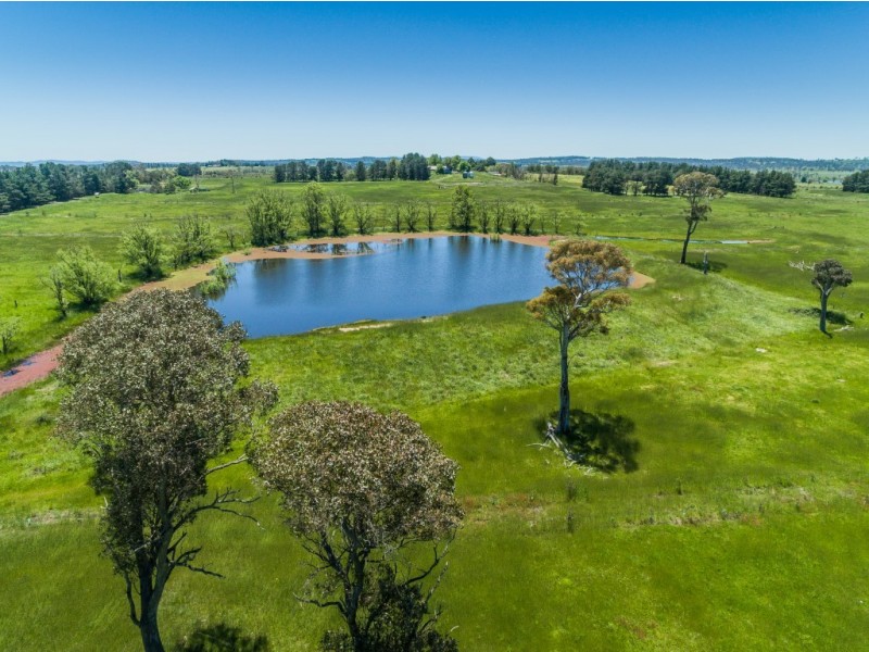 310 Racecourse Road, Uralla NSW 2358