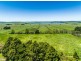 310 Racecourse Road, Uralla NSW 2358