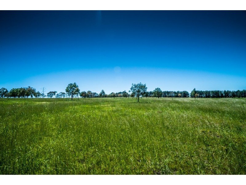 310 Racecourse Road, Uralla NSW 2358