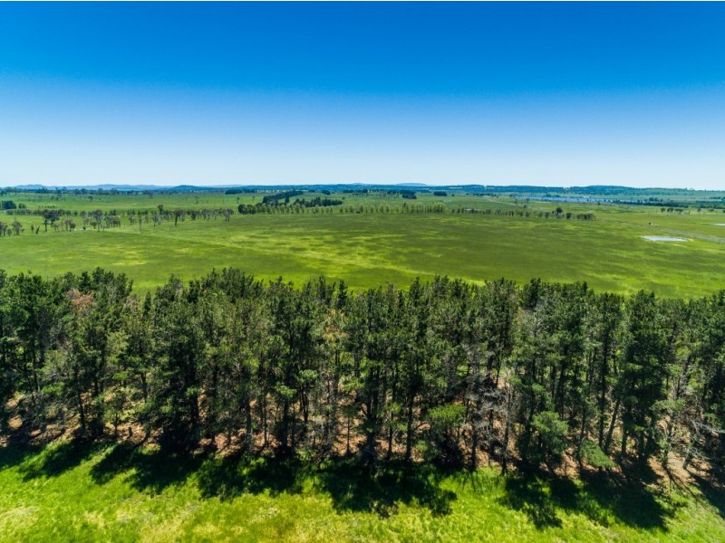 310 Racecourse Road, Uralla NSW 2358