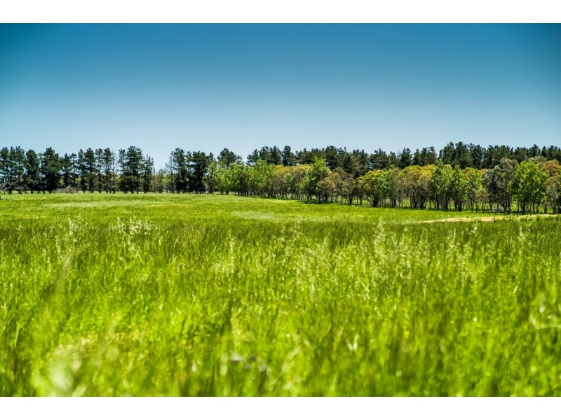 310 Racecourse Road, Uralla NSW 2358