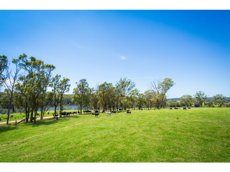 106 Coopers Island Road, Bodalla NSW 2545