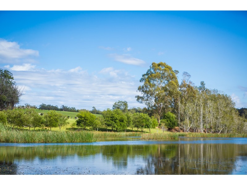 106 Coopers Island Road, Bodalla NSW 2545