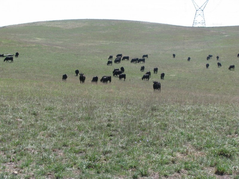 506 Thorpleigh Road, Hillgrove NSW 2350