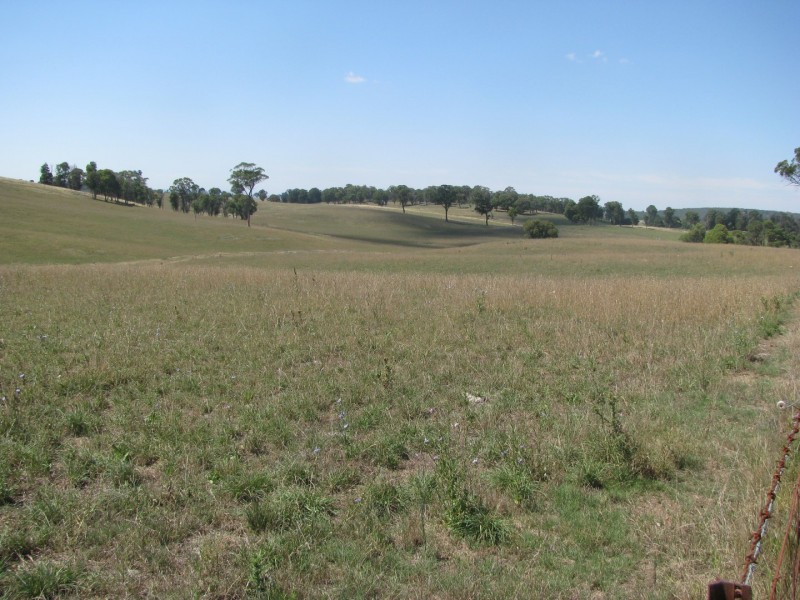 506 Thorpleigh Road, Hillgrove NSW 2350