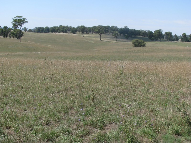 506 Thorpleigh Road, Hillgrove NSW 2350