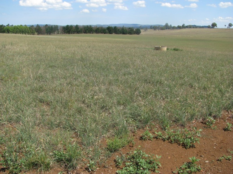 506 Thorpleigh Road, Hillgrove NSW 2350