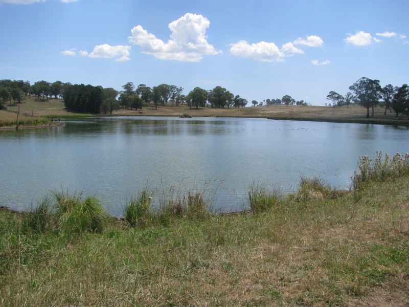 506 Thorpleigh Road, Hillgrove NSW 2350