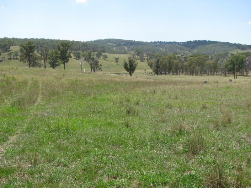 506 Thorpleigh Road, Hillgrove NSW 2350