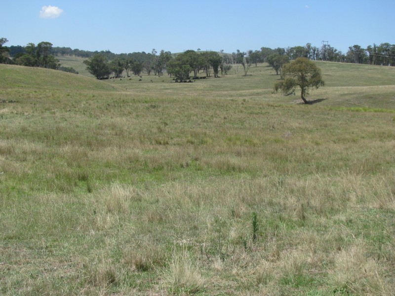 506 Thorpleigh Road, Hillgrove NSW 2350