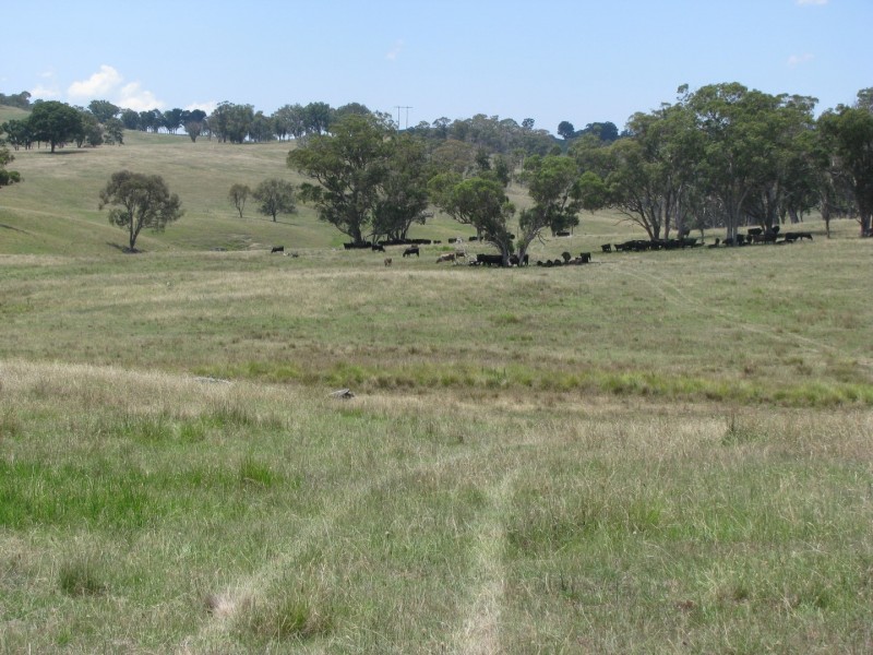 506 Thorpleigh Road, Hillgrove NSW 2350