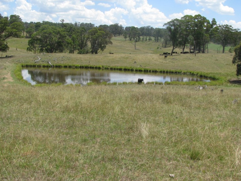 506 Thorpleigh Road, Hillgrove NSW 2350