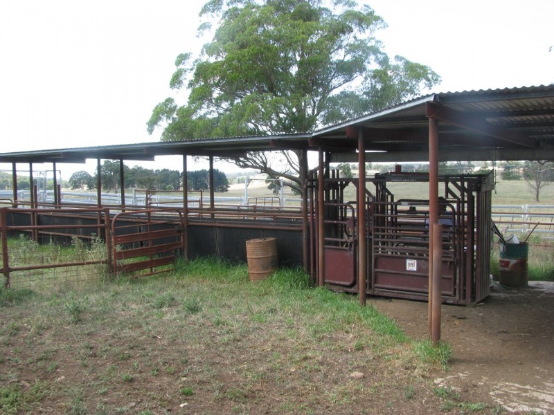 506 Thorpleigh Road, Hillgrove NSW 2350