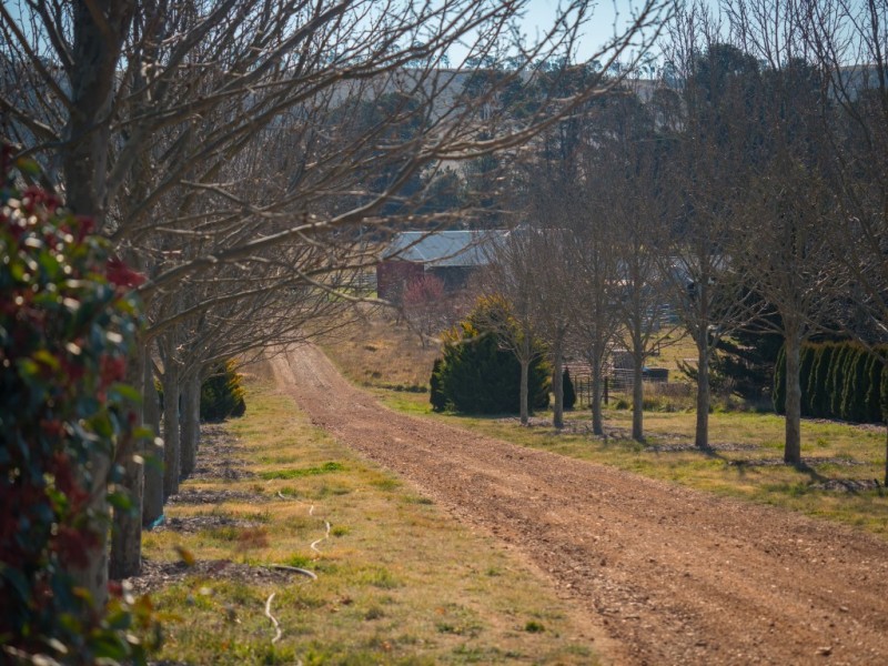 703 Dangarsleigh Road, Armidale NSW 2350