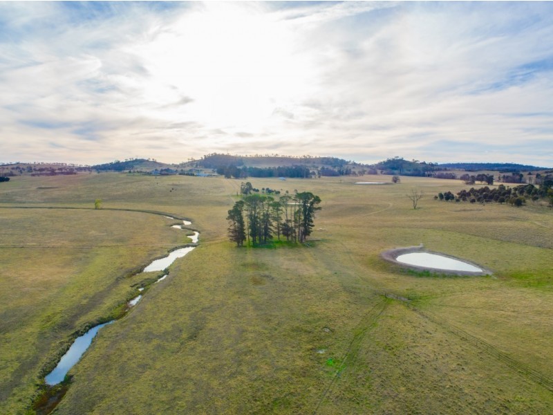 703 Dangarsleigh Road, Armidale NSW 2350