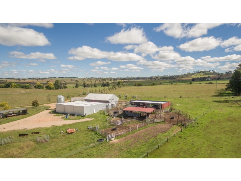 703 Dangarsleigh Road, Armidale NSW 2350
