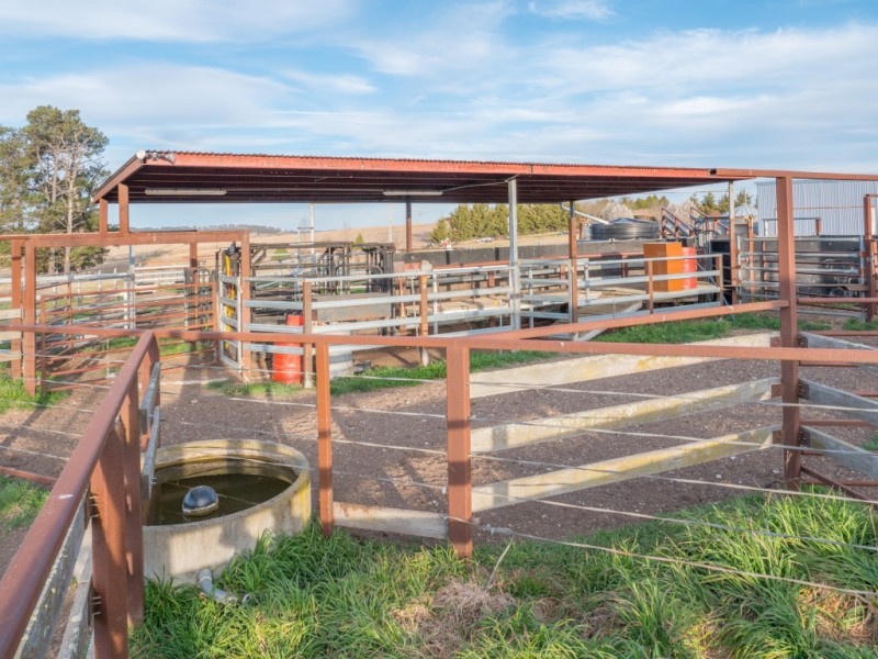 703 Dangarsleigh Road, Armidale NSW 2350