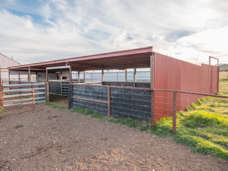 703 Dangarsleigh Road, Armidale NSW 2350