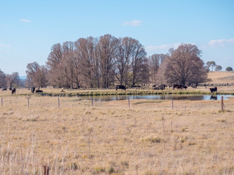 703 Dangarsleigh Road, Armidale NSW 2350