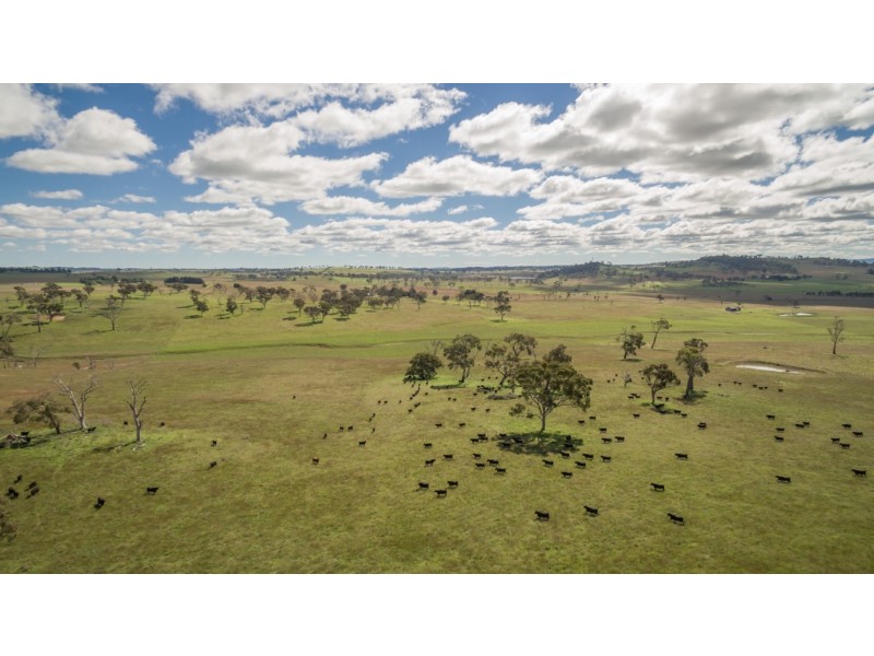 703 Dangarsleigh Road, Armidale NSW 2350
