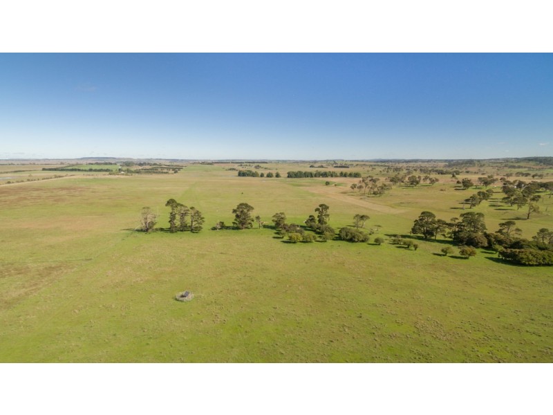 703 Dangarsleigh Road, Armidale NSW 2350