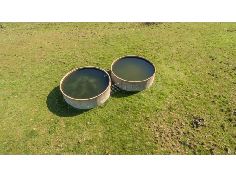 703 Dangarsleigh Road, Armidale NSW 2350