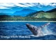 Urunga NSW 2455