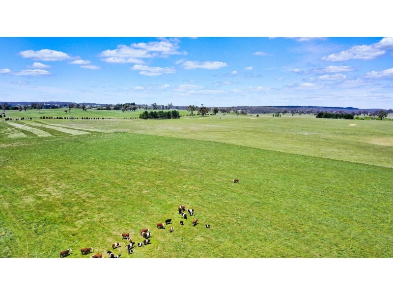 771 Neville Road, Neville NSW 2799