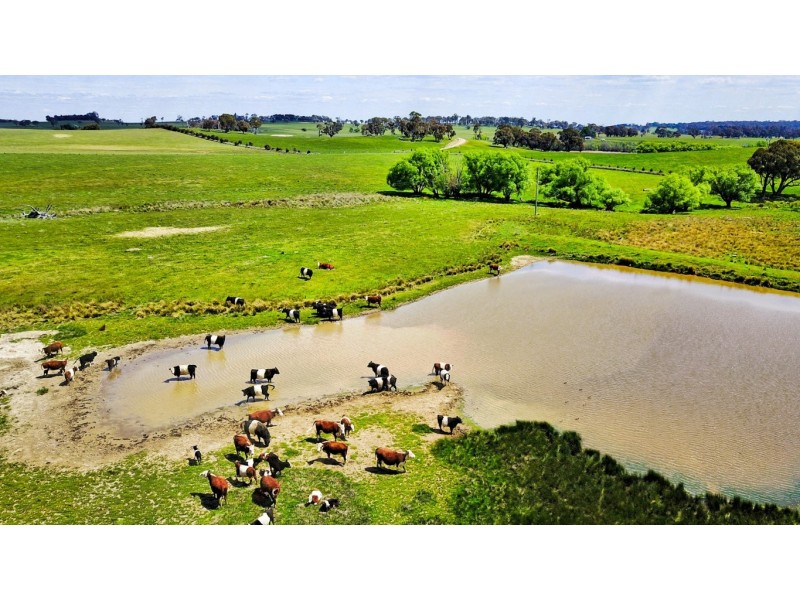 771 Neville Road, Neville NSW 2799