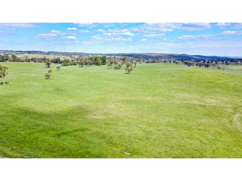 771 Neville Road, Neville NSW 2799